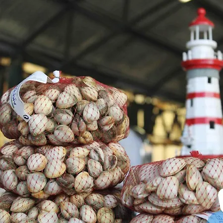 Muralha 2 - - By Sch شقة نازاريه