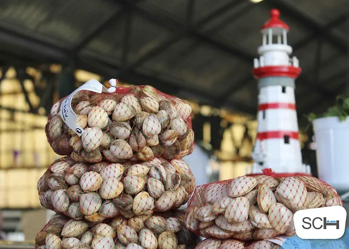 Muralha 2 - - By Sch شقة نازاريه